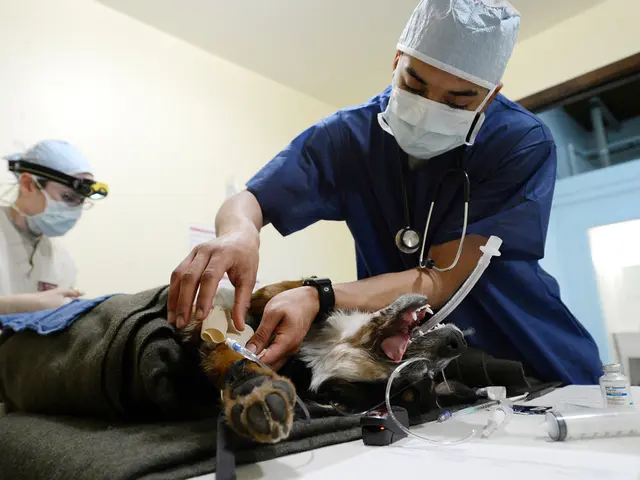 Amidst the Coronavirus pandemic, Hörluchs manufactures homemade masks as a crisis solution