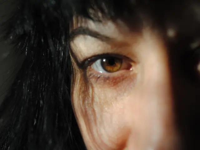 Product's Key Features Significance and Visual Attraction Linked to Size Alterations, According to...