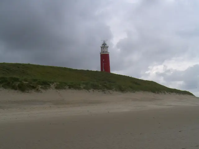 Coastal Restoration Bolsters Resilience Against El Niño-Triggered Beach Erosion