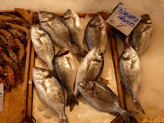 Toxic Alert: Radioactive Shrimp in Frozen Supply Could Harm Consumers, Warns FDA