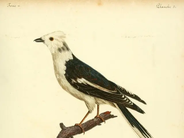 Deteriorating health of former Pope Benedict XVI reported by the Vatican