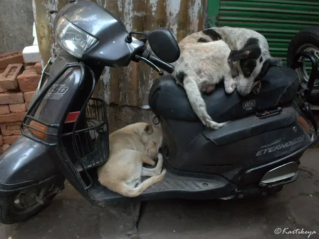 Consultation conducted on proposed directive addressing occupational risks linked to carcinogen...