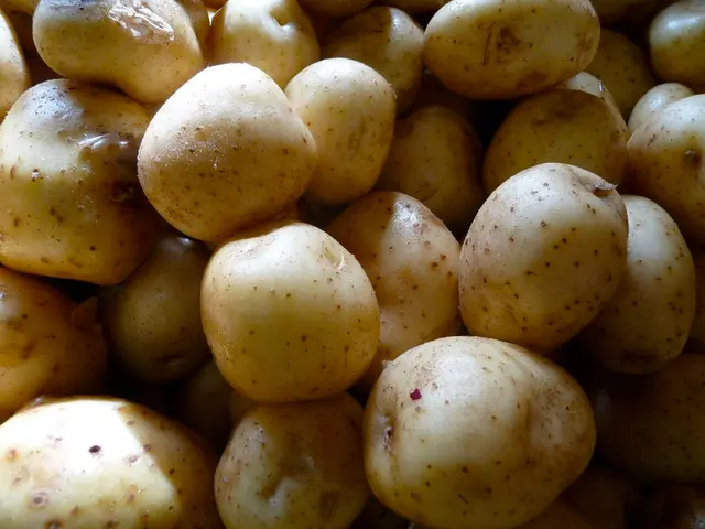 enjoy a dance while indulging in mashed potatoes, as they're allowed on the Whole30 diet