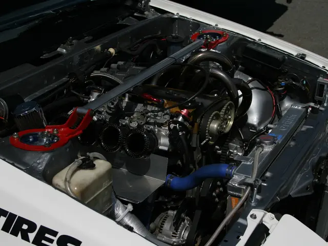 Proposal for a directive on safeguarding ecological systems requested by the Commission.