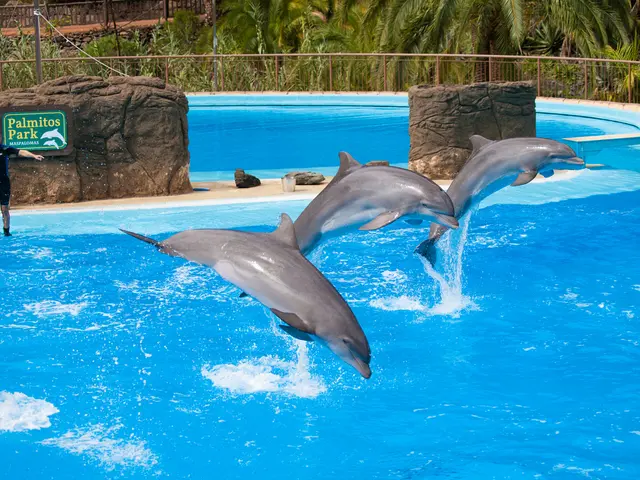 Danger escalates for endangered pink Amazonian dolphins due to increasing mercury levels