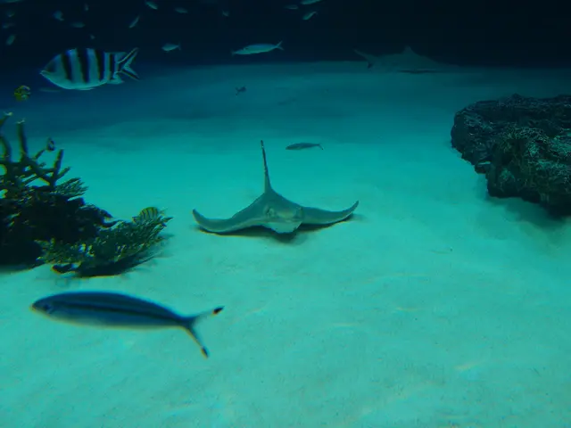 The lake in Borlefzen has been emptied