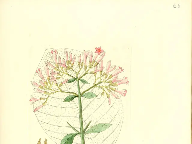 Exploration of Stem Cells: Applications, Variations, and Illustrative Cases