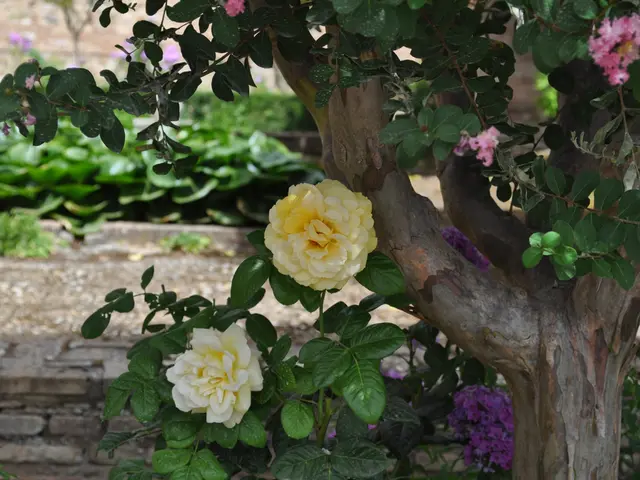 In this picture there is a flower plant on the right side of the image and there are other plants...