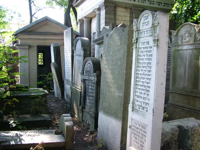 In this image I can see these are the graveyards. On the left side there are trees.