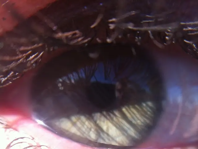 In this picture I can see an eye and eyelashes of a person.
